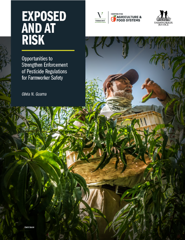 Cover of the Exposed and at Risk Report
