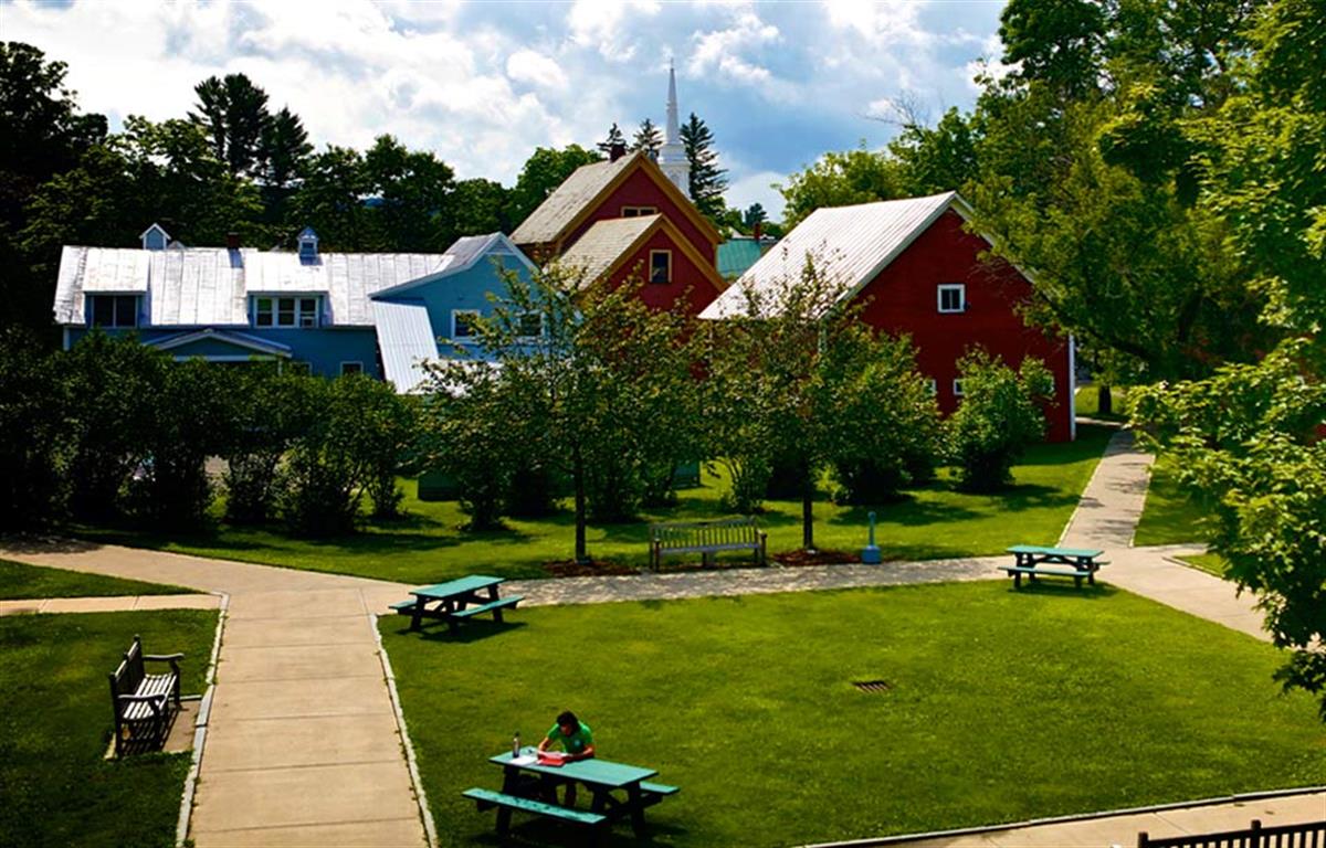 The VLS quad in summer; green grass, blue skies, picnic tables