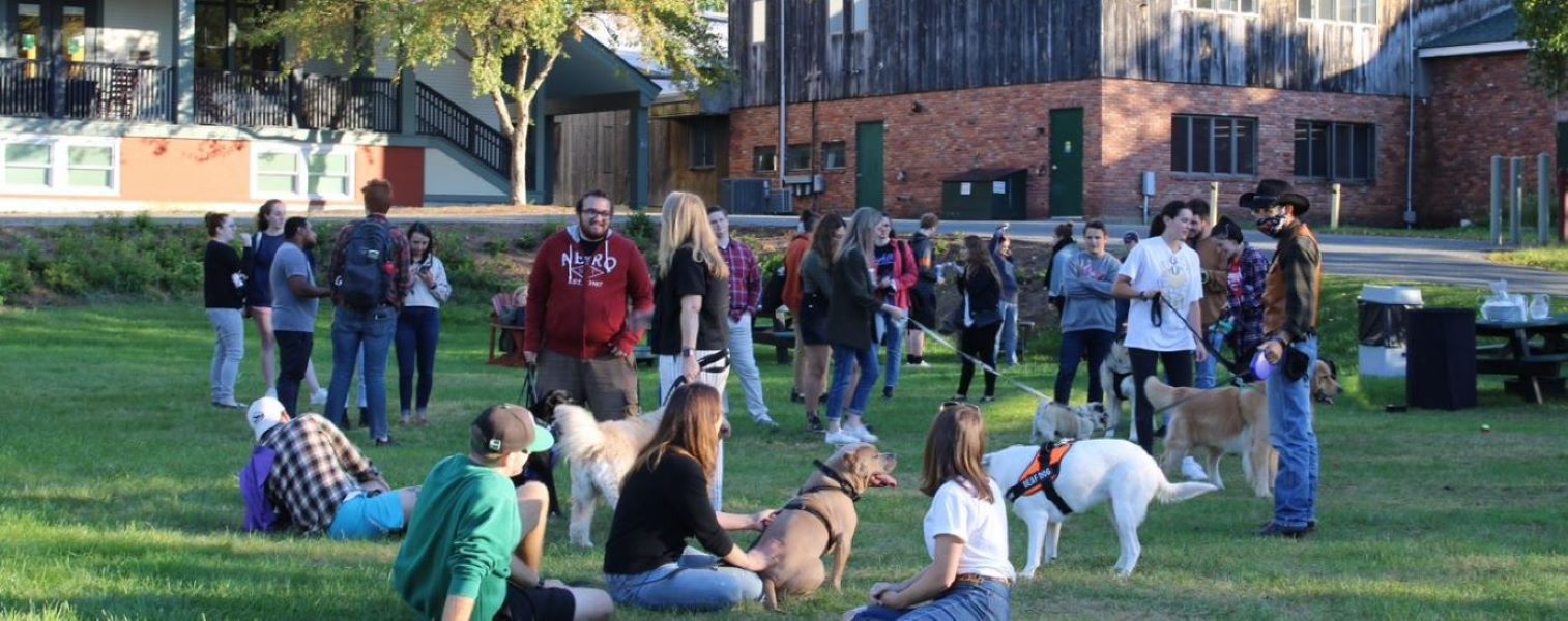 VLS animal law students on the grass with their dogs