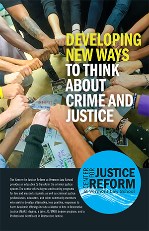 VLGS Center for Justice Reform 2021 Brochure PDF