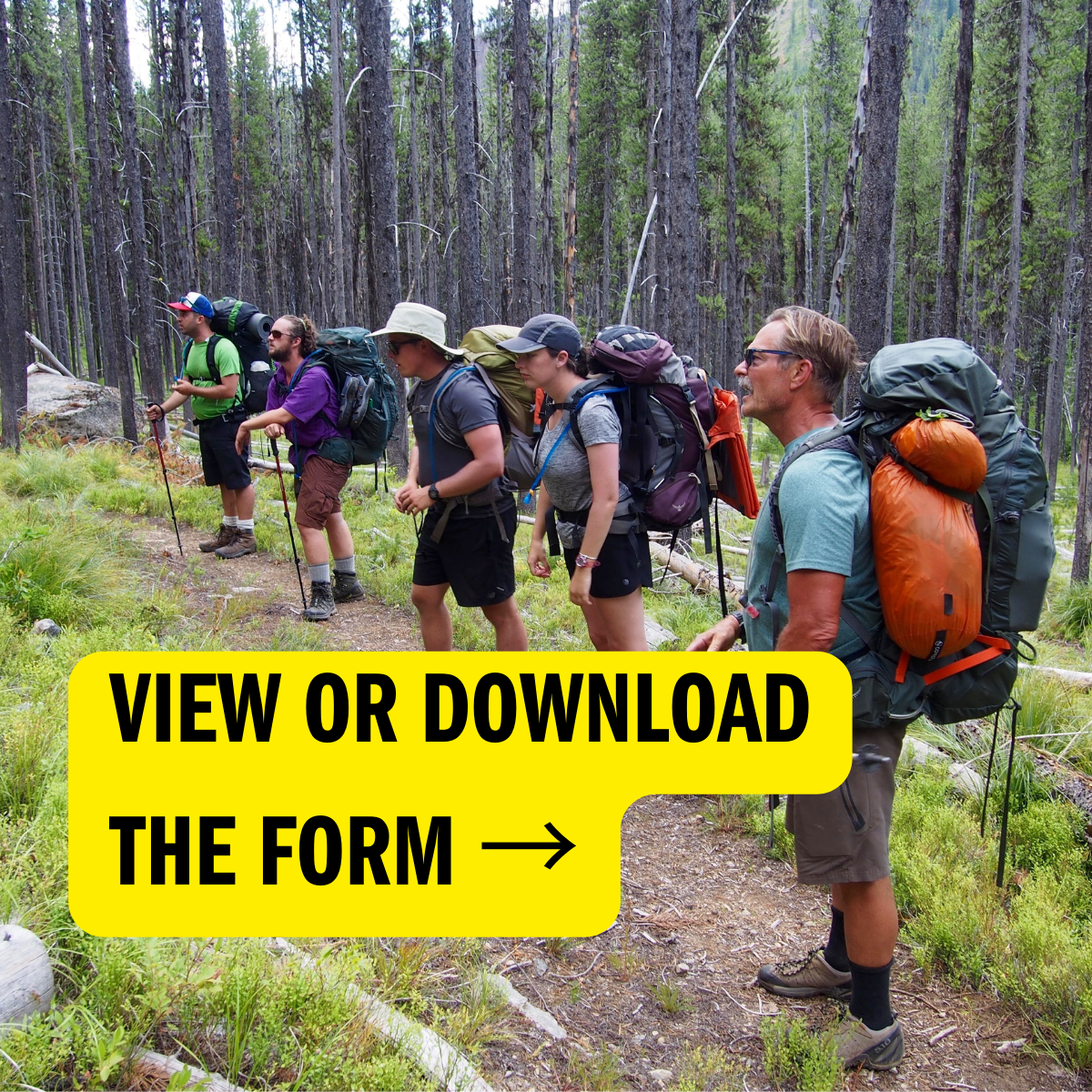 Text that says: view or download the form.