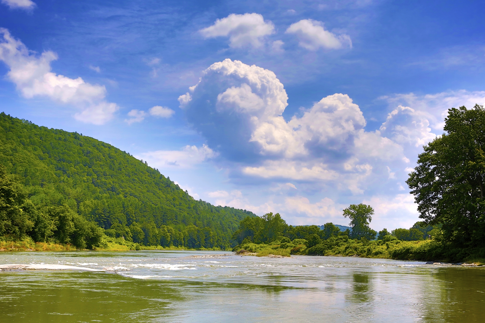 Photograph of the White River at Vermont Law and Graduate School in Summertime