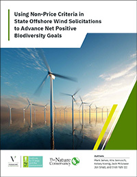PDF Cover of the IEE TNC Offshore Wind Report