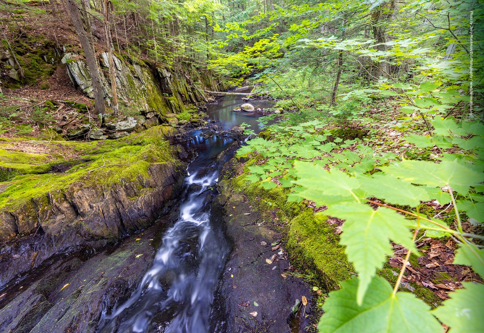 A stream in Vermont