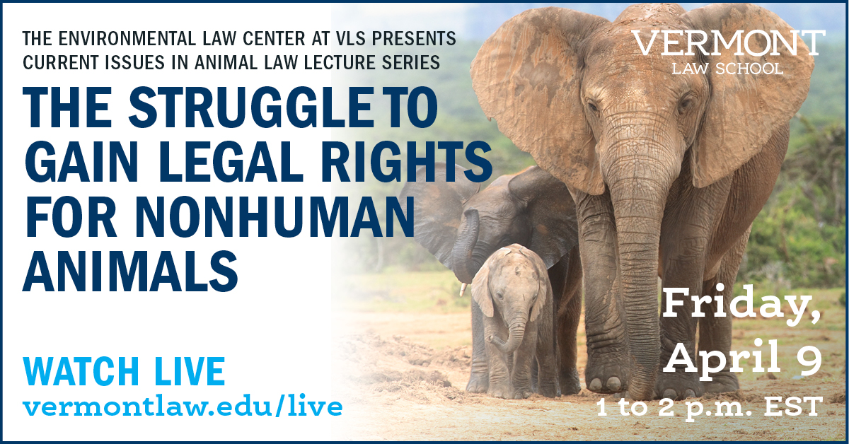 Current Issues in Animal Law: The Struggle to Gain Legal Rights for  Nonhuman Animals | Vermont Law and Graduate School