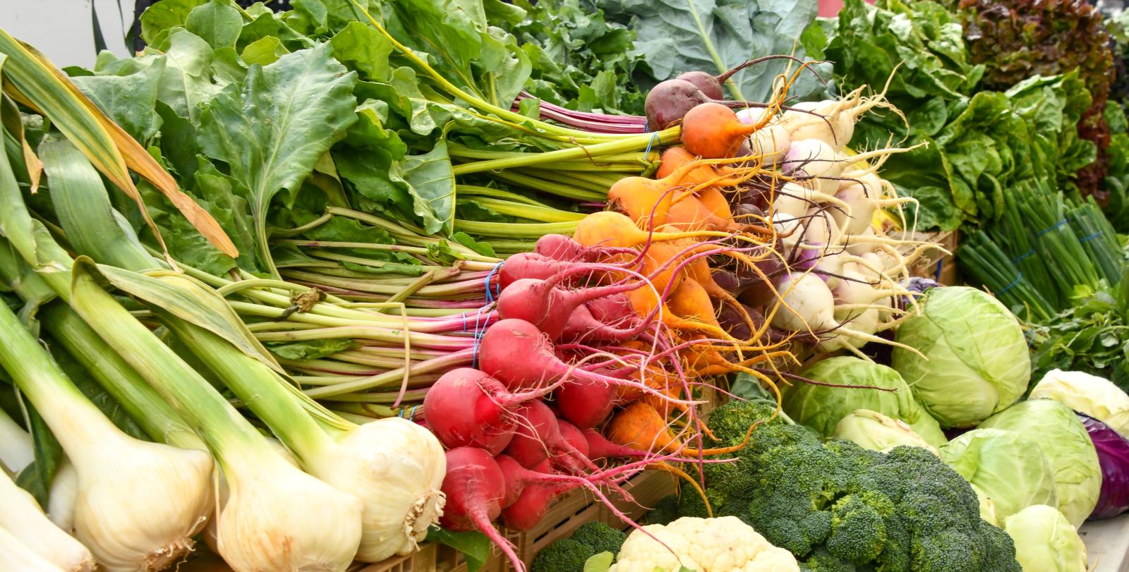 Colorful vegetables at a farmers market table: onions, radishes, beets, cauliflower, broccoli, and cabbage.