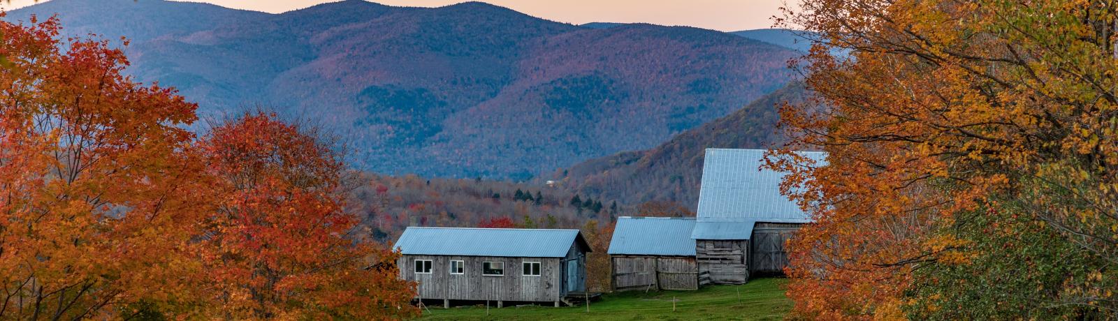 A farm in Rochester, Vermont, during autumn, with a wooden barn and mountains in the background. 