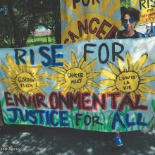 Protestors hold a banner that reads "Rise for Environmental Justice for All."