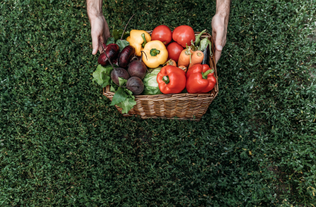 Hands holding a basket of vegetables.