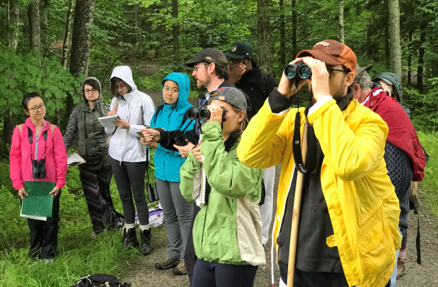 Students standing outside in the forest wearing rain jackets and looking through binoculars.