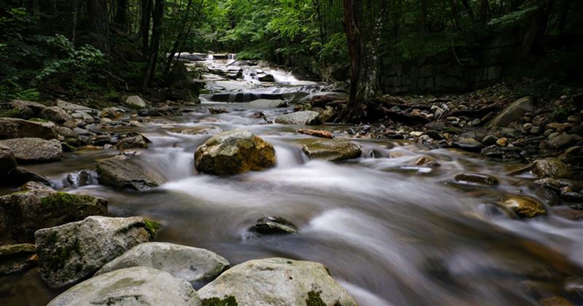 A river in the forest with rocks, rapids, and boulders