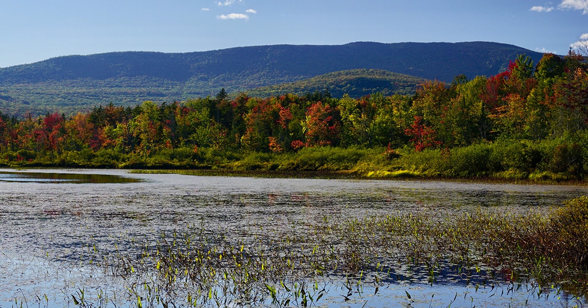 Elbow Pond/Carr Mountain/White Mountain National Forest. Photo provided by Zack Porter.