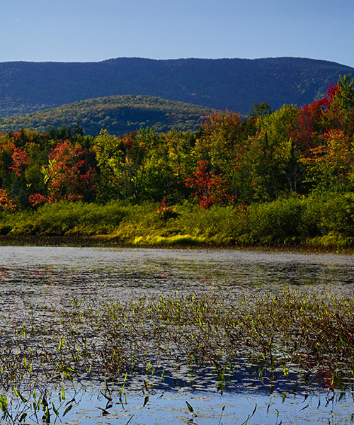 Elbow Pond/Carr Mountain/White Mountain National Forest