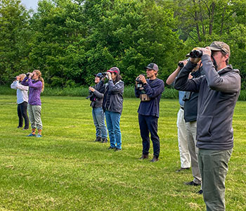 Faculty, staff, and students bird watching during Summer Session 2025