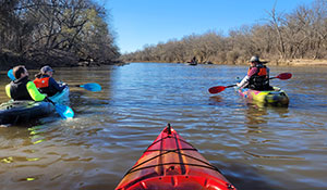 Several kayakers on a river