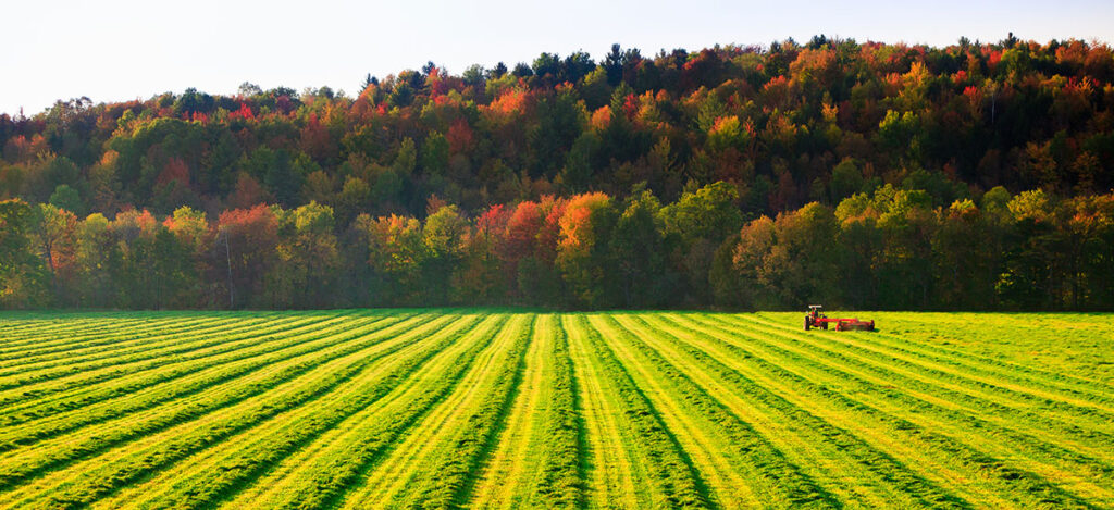 An autumn view of a green field and tractor, with forest in the foreground.