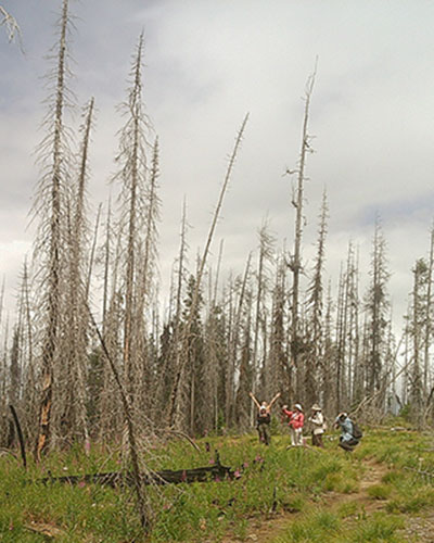 Students on the Public Lands Management field study trip to Montana.