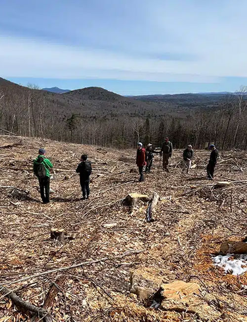 Student clinicians stand in an area cleared by logging.