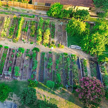 An overhead view of an outdoor garden plot