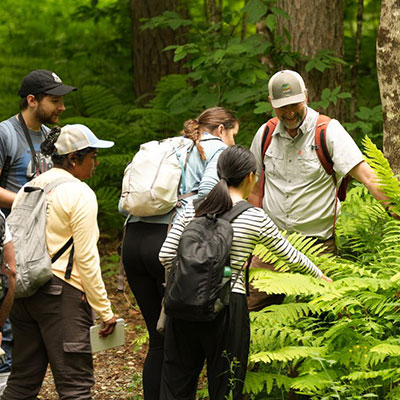 A group of VLGS students and professor in a forest for field study.