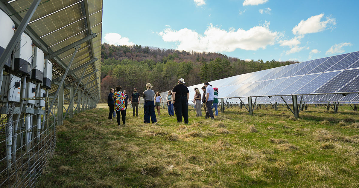 Energy students visit a local solar array